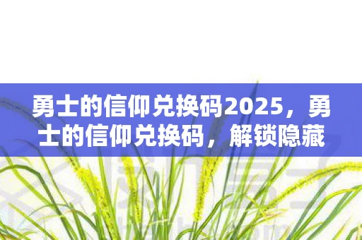 勇士的信仰兑换码2025，勇士的信仰兑换码，解锁隐藏奖励，提升游戏乐趣