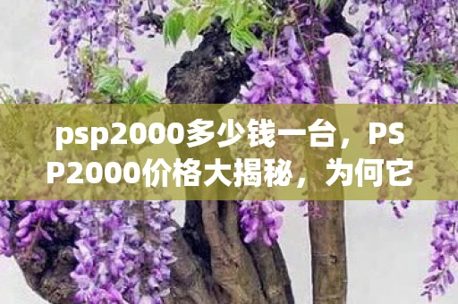 psp2000多少钱一台，PSP2000价格大揭秘，为何它如此吸引人？