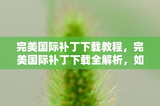 完美国际补丁下载教程，完美国际补丁下载全解析，如何安全、高效获取游戏更新