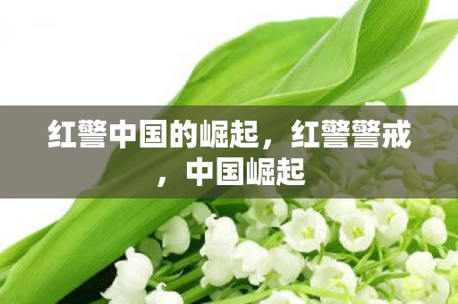 红警中国的崛起，红警警戒，中国崛起