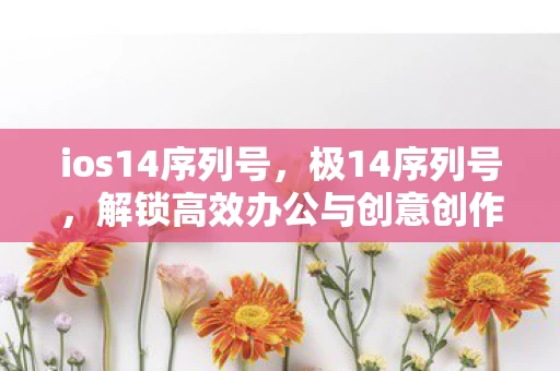 ios14序列号，极14序列号，解锁高效办公与创意创作的秘密