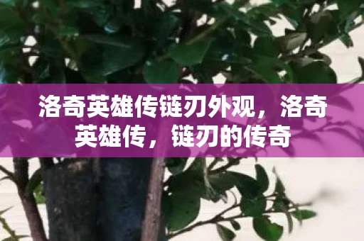 洛奇英雄传链刃外观，洛奇英雄传，链刃的传奇