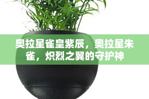 奥拉星雀皇紫辰，奥拉星朱雀，炽烈之翼的守护神