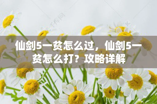 仙剑5一贫怎么过，仙剑5一贫怎么打？攻略详解