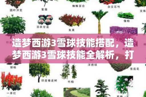造梦西游3雪球技能搭配，造梦西游3雪球技能全解析，打造你的专属战斗策略