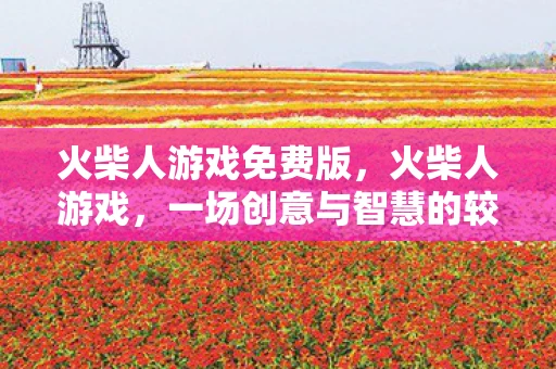 火柴人游戏免费版，火柴人游戏，一场创意与智慧的较量