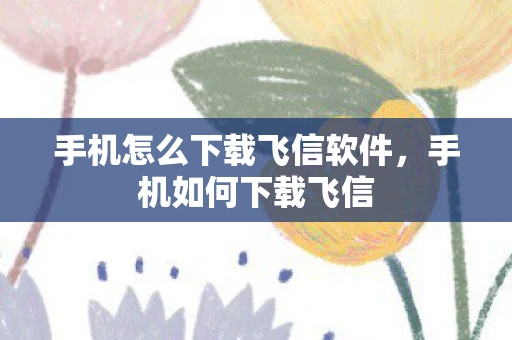 手机怎么下载飞信软件，手机如何下载飞信