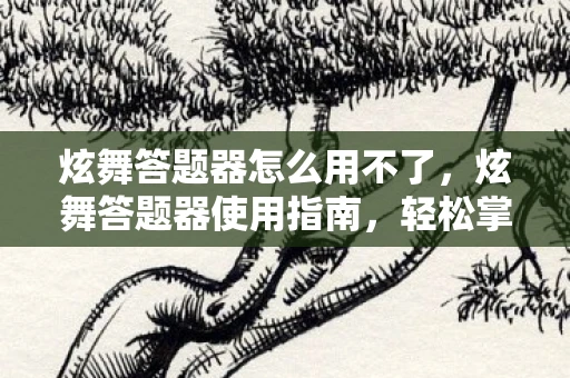 炫舞答题器怎么用不了，炫舞答题器使用指南，轻松掌握答题技巧
