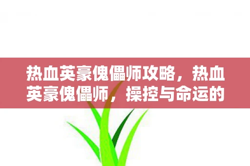 热血英豪傀儡师攻略，热血英豪傀儡师，操控与命运的交响曲