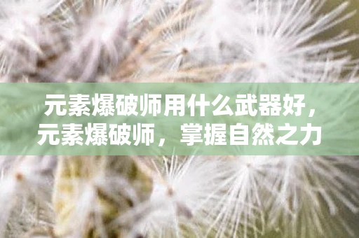 元素爆破师用什么武器好，元素爆破师，掌握自然之力的神秘武器