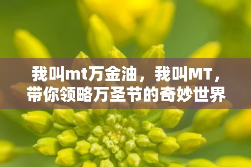 我叫mt万金油，我叫MT，带你领略万圣节的奇妙世界