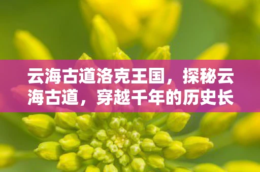 云海古道洛克王国，探秘云海古道，穿越千年的历史长廊