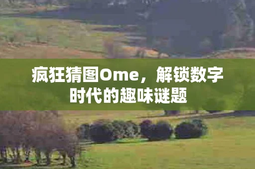 疯狂猜图Ome，解锁数字时代的趣味谜题