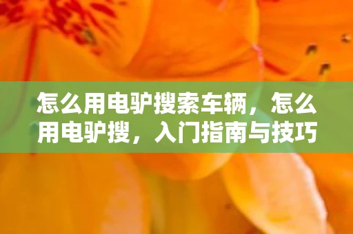 怎么用电驴搜索车辆，怎么用电驴搜，入门指南与技巧分享