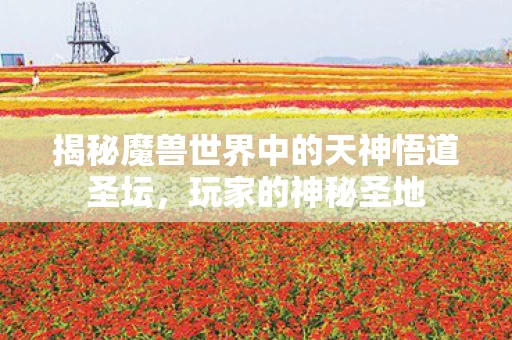 揭秘魔兽世界中的天神悟道圣坛图片