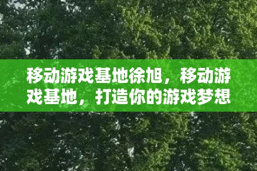 移动游戏基地徐旭，移动游戏基地，打造你的游戏梦想