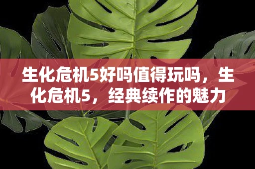 生化危机5好吗值得玩吗，生化危机5，经典续作的魅力与不足