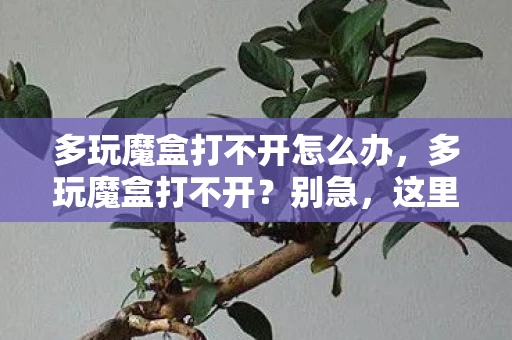 多玩魔盒打不开怎么办，多玩魔盒打不开？别急，这里有解决办法！