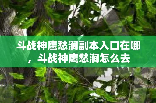 斗战神鹰愁涧副本入口在哪，斗战神鹰愁涧怎么去