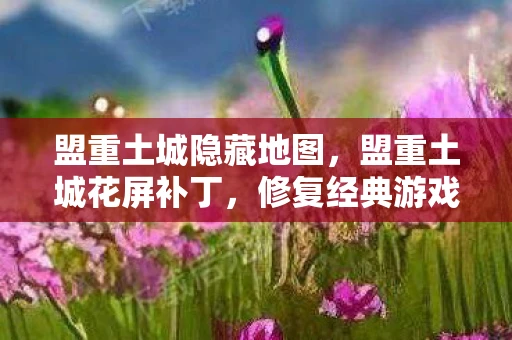 盟重土城隐藏地图，盟重土城花屏补丁，修复经典游戏画面问题的实用指南