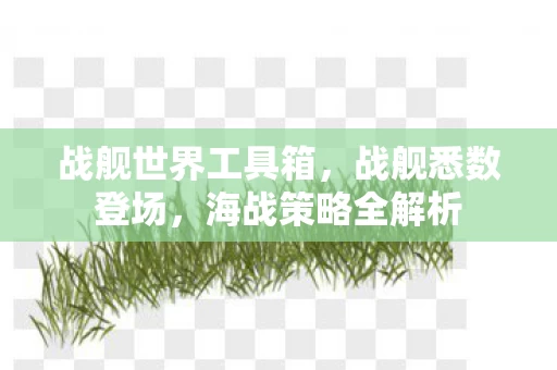 战舰世界工具箱图片