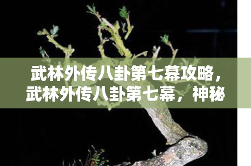 武林外传八卦第七幕攻略，武林外传八卦第七幕，神秘剑客的传说