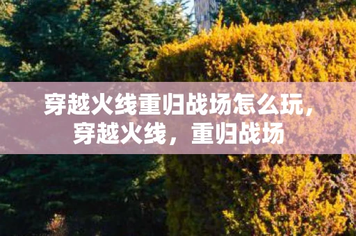 穿越火线重归战场怎么玩，穿越火线，重归战场
