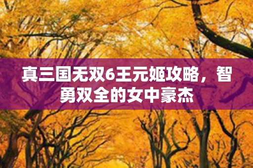 真三国无双6王元姬攻略图片