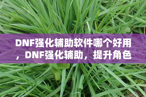 DNF强化辅助软件哪个好用，DNF强化辅助，提升角色战斗力的秘密武器