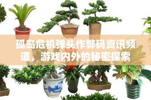孤岛危机弹头作弊码资讯频道图片