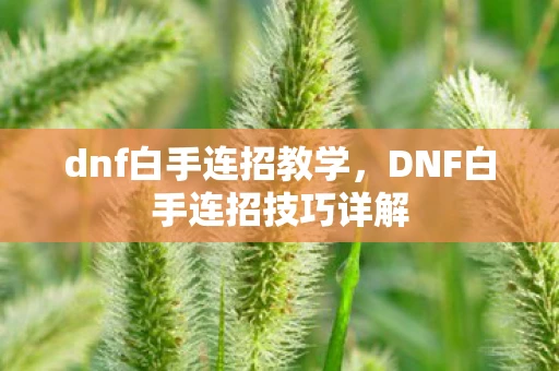 dnf白手连招教学，DNF白手连招技巧详解
