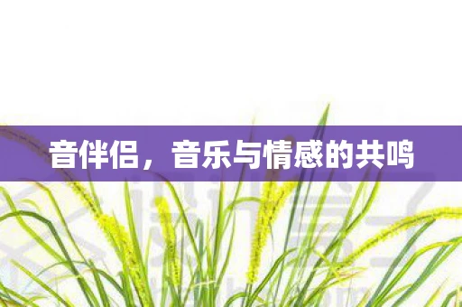 音伴侣，音乐与情感的共鸣