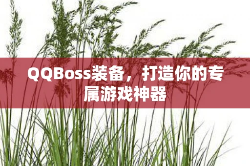 QQBoss装备，打造你的专属游戏神器