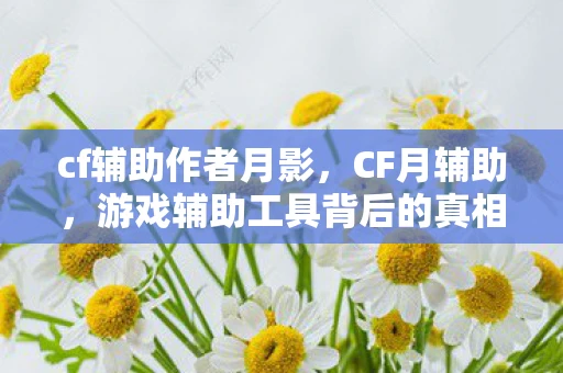 cf辅助作者月影，CF月辅助，游戏辅助工具背后的真相与反思