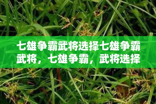 七雄争霸武将选择七雄争霸武将，七雄争霸，武将选择的艺术