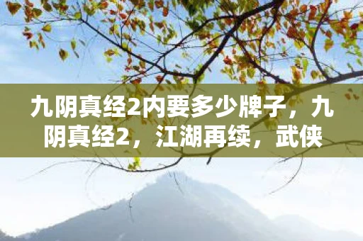 九阴真经2内要多少牌子，九阴真经2，江湖再续，武侠新篇章