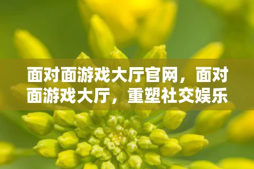 面对面游戏大厅官网，面对面游戏大厅，重塑社交娱乐新体验