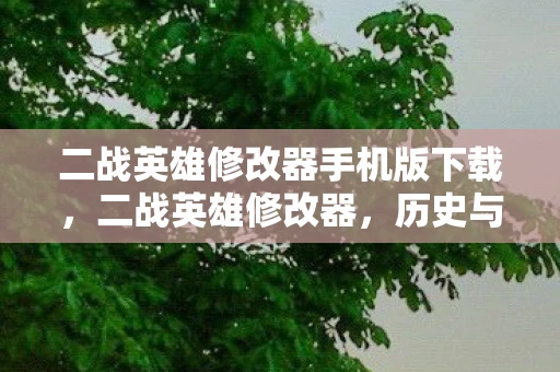 二战英雄修改器手机版下载，二战英雄修改器，历史与虚构的交错