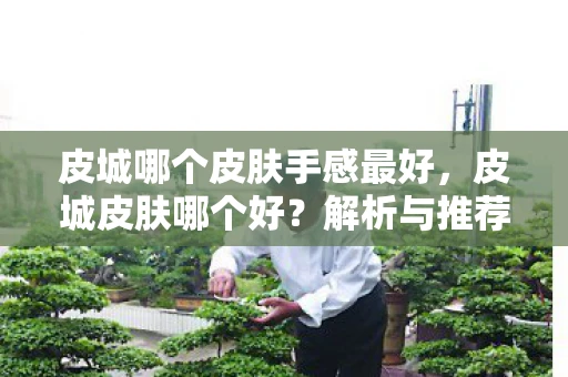 皮城哪个皮肤手感最好，皮城皮肤哪个好？解析与推荐