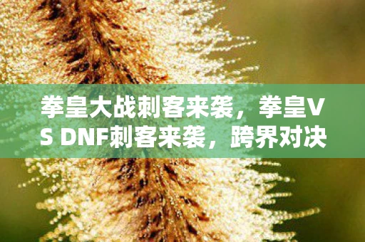 拳皇大战刺客来袭，拳皇VS DNF刺客来袭，跨界对决的激情碰撞