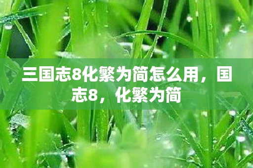 三国志8化繁为简怎么用，国志8，化繁为简