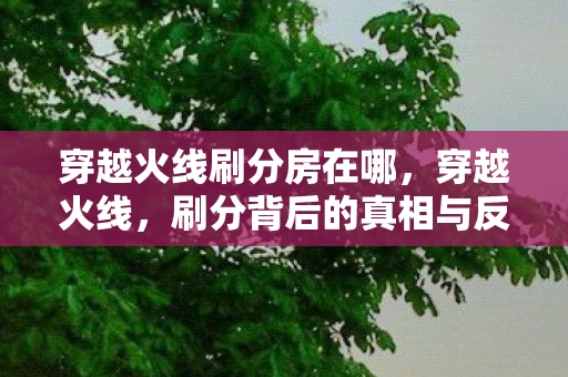 穿越火线刷分房在哪，穿越火线，刷分背后的真相与反思