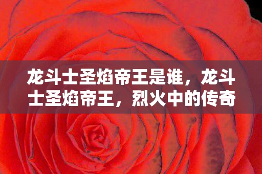 龙斗士圣焰帝王是谁，龙斗士圣焰帝王，烈火中的传奇