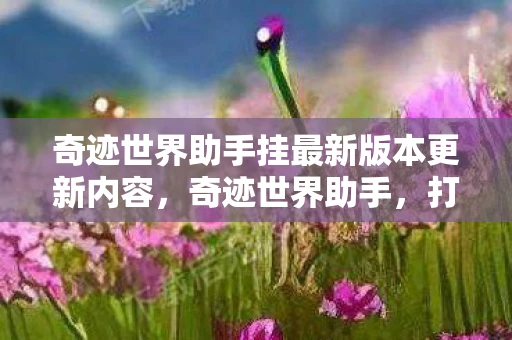 奇迹世界助手挂最新版本更新内容，奇迹世界助手，打造你的专属游戏神器