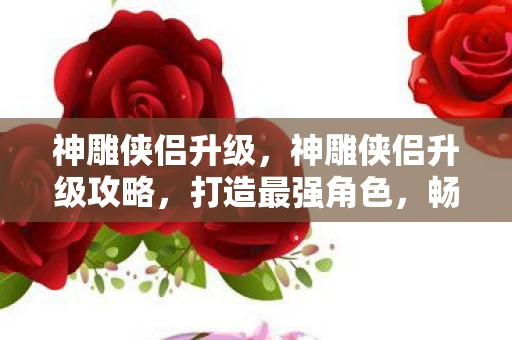 神雕侠侣升级，神雕侠侣升级攻略，打造最强角色，畅游江湖！