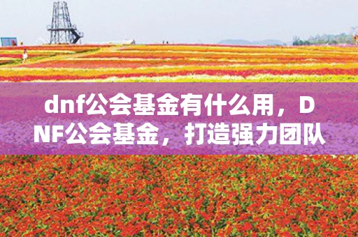 dnf公会基金有什么用，DNF公会基金，打造强力团队的基石