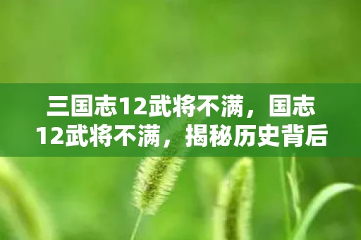 三国志12武将不满，国志12武将不满，揭秘历史背后的真实原因