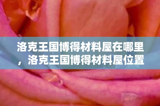 洛克王国博得材料屋在哪里，洛克王国博得材料屋位置详解