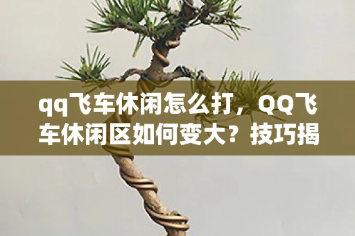 qq飞车休闲怎么打，QQ飞车休闲区如何变大？技巧揭秘！