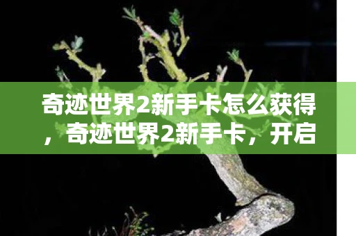 奇迹世界2新手卡怎么获得，奇迹世界2新手卡，开启你的奇幻之旅